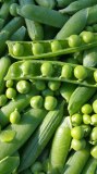 Bonduelle - macédoine de légumes de france sans conservateur