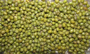 Bonduelle - macédoine de légumes