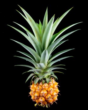 Bonne maman - confiture d'ananas et passion intense