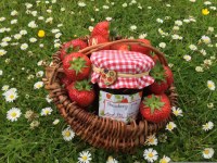Bonne maman - confiture 4 fruits rouges fraises cerises groseilles et cassis