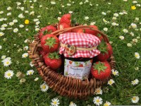 Bonne maman - intense confiture de fraise moins sucrée
