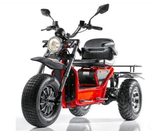 Boomerbeast 2-D Heavy Duty AWD 3- Wheel Recreational Mobility Scooter