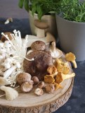 Borde - girolles au vinaigre