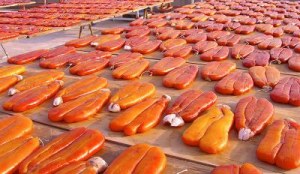 Huile d'olive, Thon, Dattes, Bouttargue