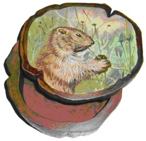 Boite marmotte en teck