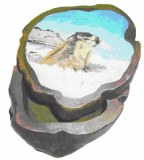 Boite marmotte en teck