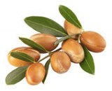 Huile d'Argan corps et cheveux