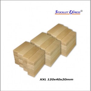 Briques en bois, kit de 100pcs au Format XXL; Promotion Avantage