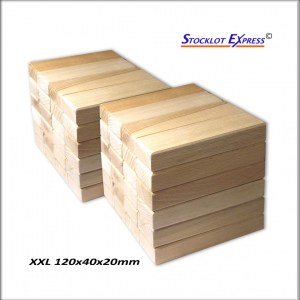 Briques en bois, kit de 100pcs au Format XXL; Promotion Avantage