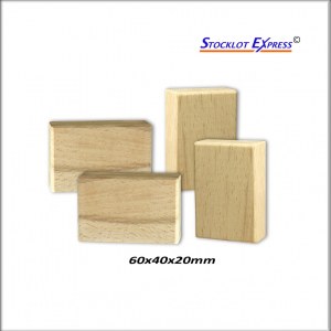 Briques en bois, kit de 100pcs au Format XXL; Promotion Avantage