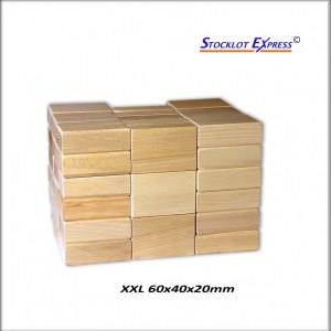 Briques en bois, kit de 100pcs au Format XXL; Promotion Avantage