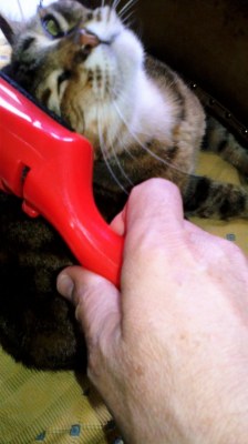 BROSSE MAGIQUE prix en baisse