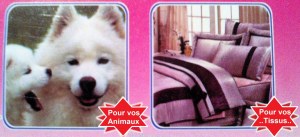 BROSSE MAGIQUE prix en baisse