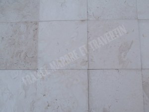 Calcaire Appelstone 20x20 cm