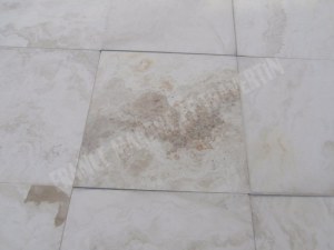 Calcaire Appelstone 60x60 cm