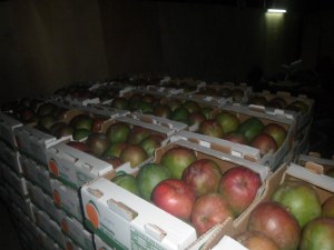 Mangue frais a exporte