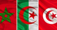 Drapeau coupe afrique des nation algerie maroc tunisie mali