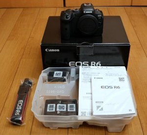 Canon EOS R6 Mirrorless Digital Camera