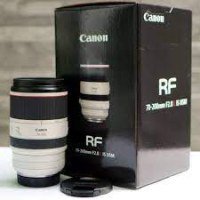 Canon RF 70-200mm f2.8 L IS USM Lens
