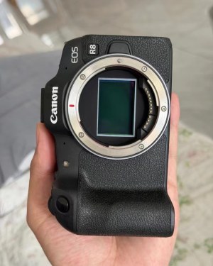 Canons R8 Professional Level Photography Full Frame