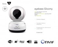 Caméra ip wifi intelligent