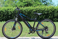 KIREST Fournisseur Grossiste Vélo électrique Smartway 250 - En Stock
