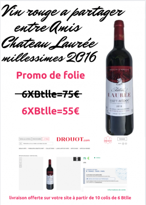 Destockage vins directe producteur stock Paris Haut Medoc LACOUR JACQUET 2015
