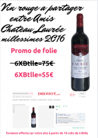 Destockagedirecte producteur stock Paris Haut Medoc LACOUR JACQUET 2015