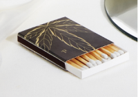 Lot de 10 boites d'allumettes