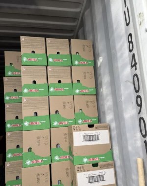 Lot Lessive Détergent Ariel Pods All In One 65 capsule (Stock Europe)