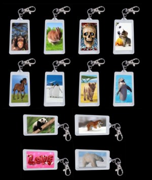 PORTE CLE LENTICULAIRE 3D