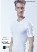 DESTOCKAGE TEE SHIRT COL ROND SERGIO TACCHINI