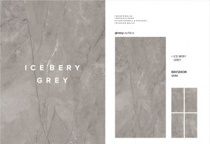 Carrelage 60x60 et 60x120 - Mat et Brillant - Icebery Grey