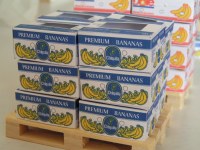 Carton pour marché aux puces