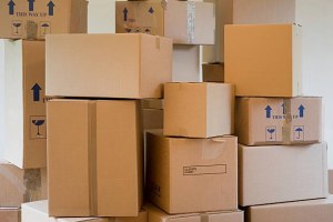 Lot, vêtement d'occasion homme, Sweat, Polo, Chemise, Pull (Grande Marque)