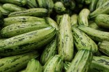 Cassegrain - courgettes cuisinées à la provençale