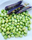 Cassegrain - gourmandise de pois à la provençale
