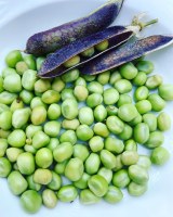 Cassegrain - gourmandise de pois à la provençale