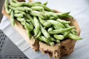 Cassegrain - haricots verts extra fins cueillis main