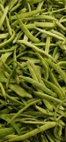 Cassegrain - haricots verts extra fins cueillis rangés mains