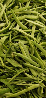 Cassegrain - haricots verts extra fins cueillis rangés mains