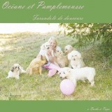 Lot de cd 2 titres pour enfants