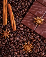 Celebrations - assortiment de chocolats au lait fourrés et de biscuits enrobés de chocolat au lait