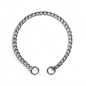 Coffret collier métallique avec laisse nylon réfléchissante pour chien