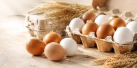 Fournisseur d’œufs de consommation européens