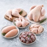 Fournisseur de poulet et poule surgelés