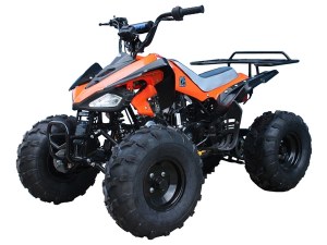 Kirest Fournisseur Quad Cheetah Tao Motors