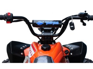 Kirest Fournisseur Quad Cheetah Tao Motors