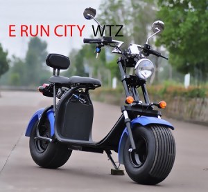 CITY COCO HOMOLOGUE ROUTE 2 PLACES