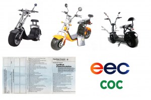 KIREST Grossiste vente en lot Citycoco caigies Scooters électriques Trottinettes City...
